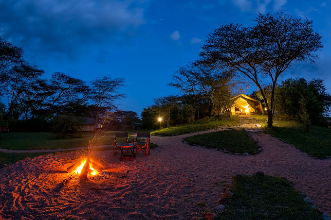 AJM Tours & Safaris - Porini Mara Camp