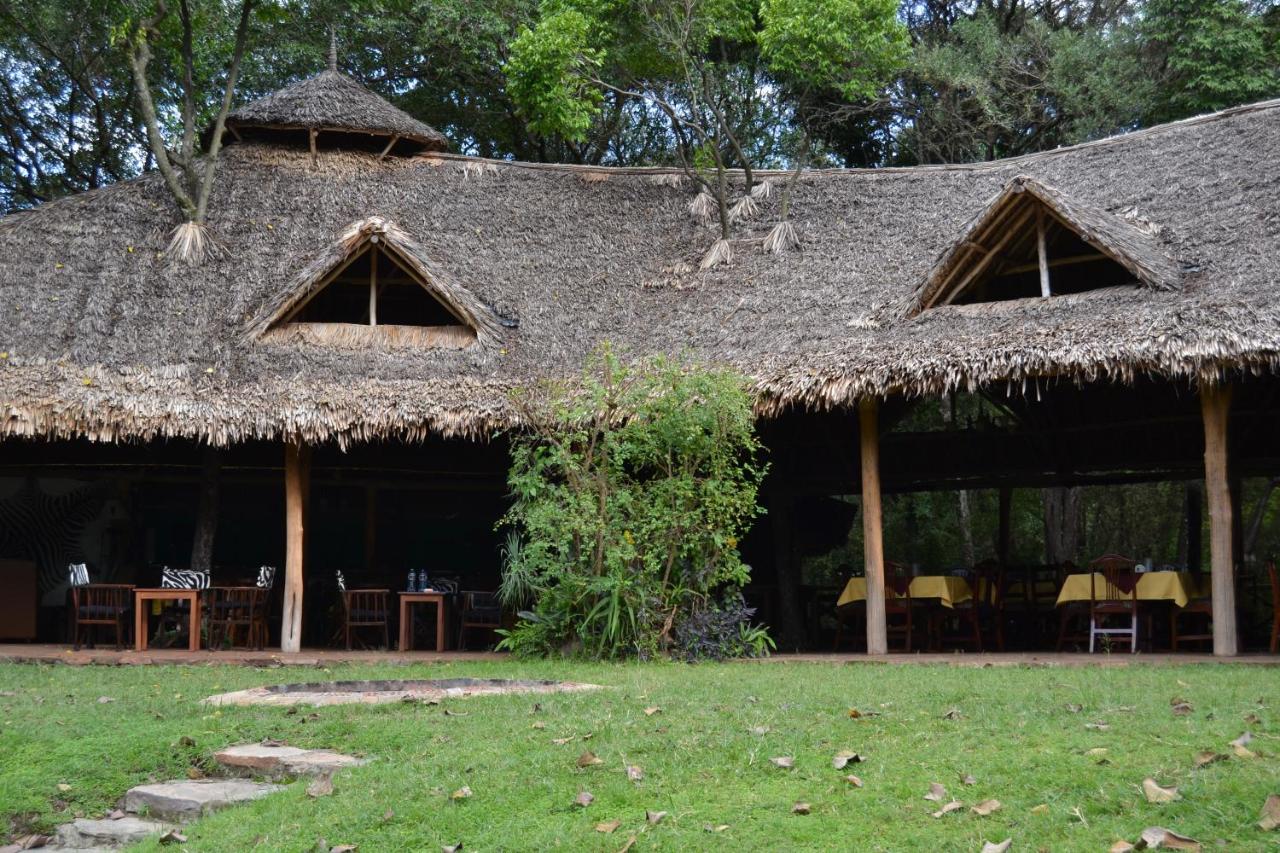 AJM Tours & Safaris - Mara River Lodge