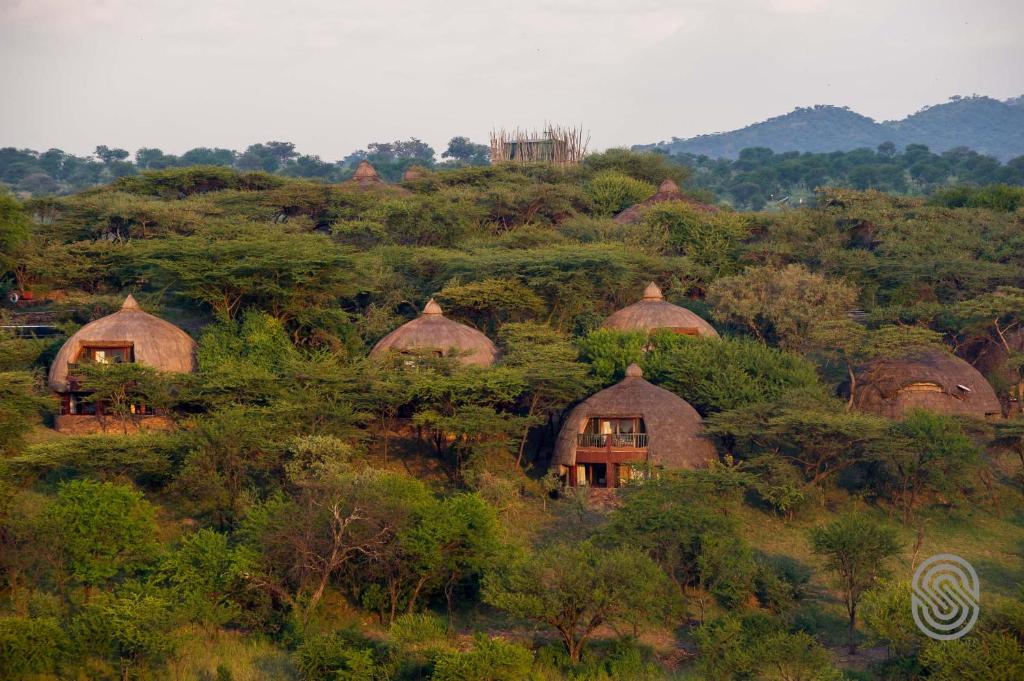 AJM Tours & Safaris - Serengeti Serena Safari Lodge