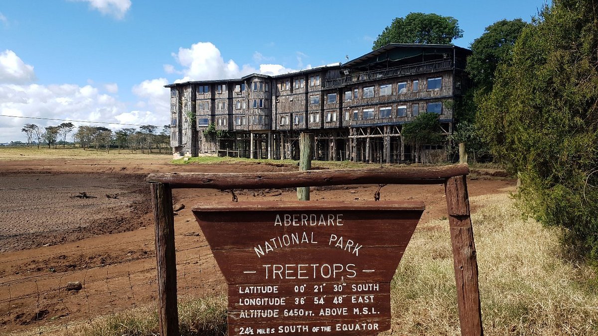 AJM Tours & Safaris - Treetops Lodge,Aberdare