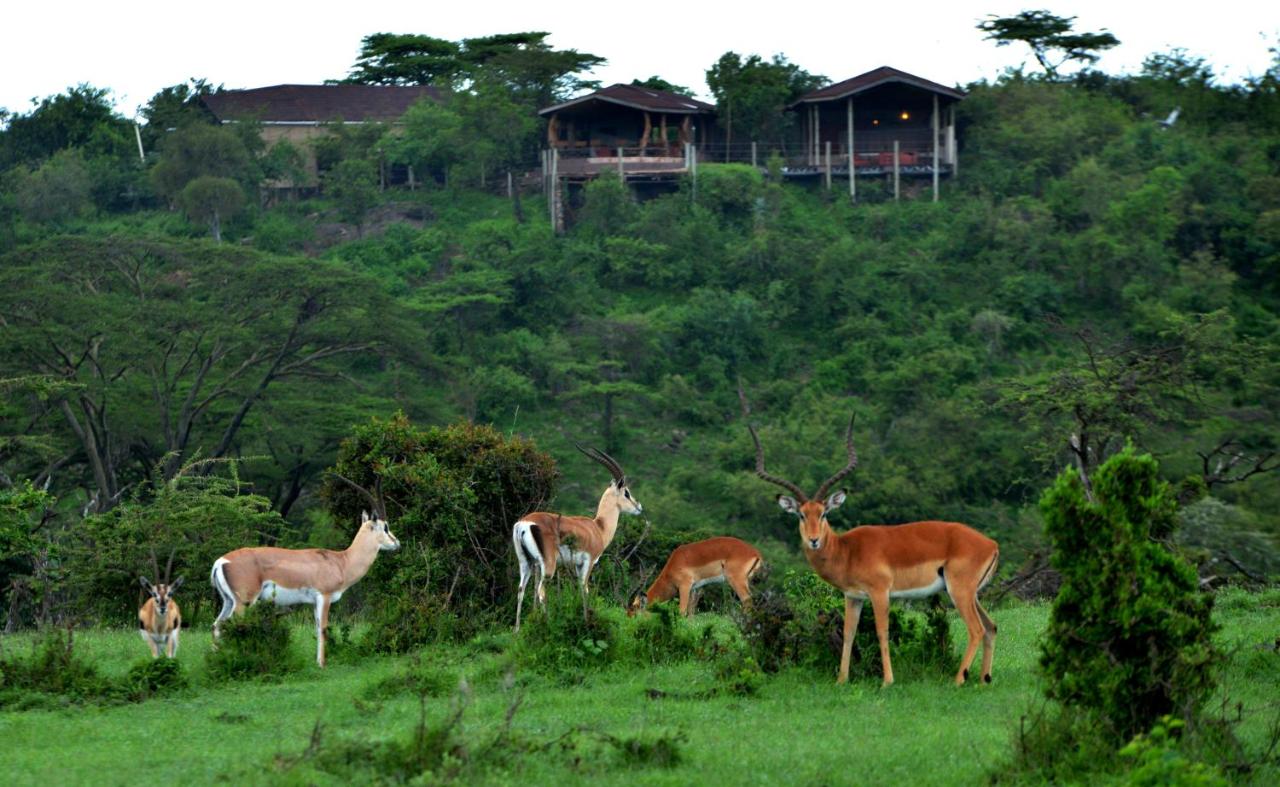 AJM Tours & Safaris - Eagle View Camp