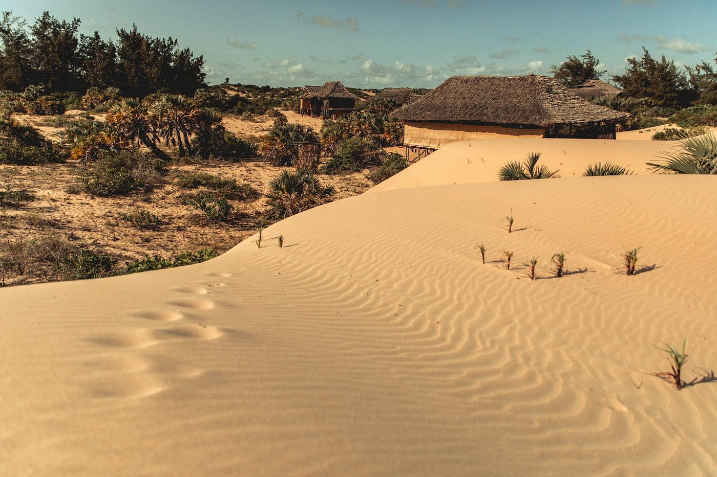 AJM Tours & Safaris - Kizingo Beach Eco Lodge