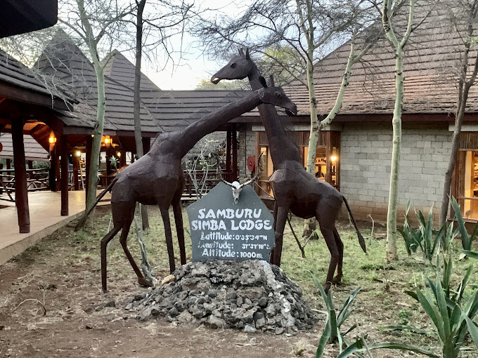 AJM Tours & Safaris - Samburu Simba Lodge