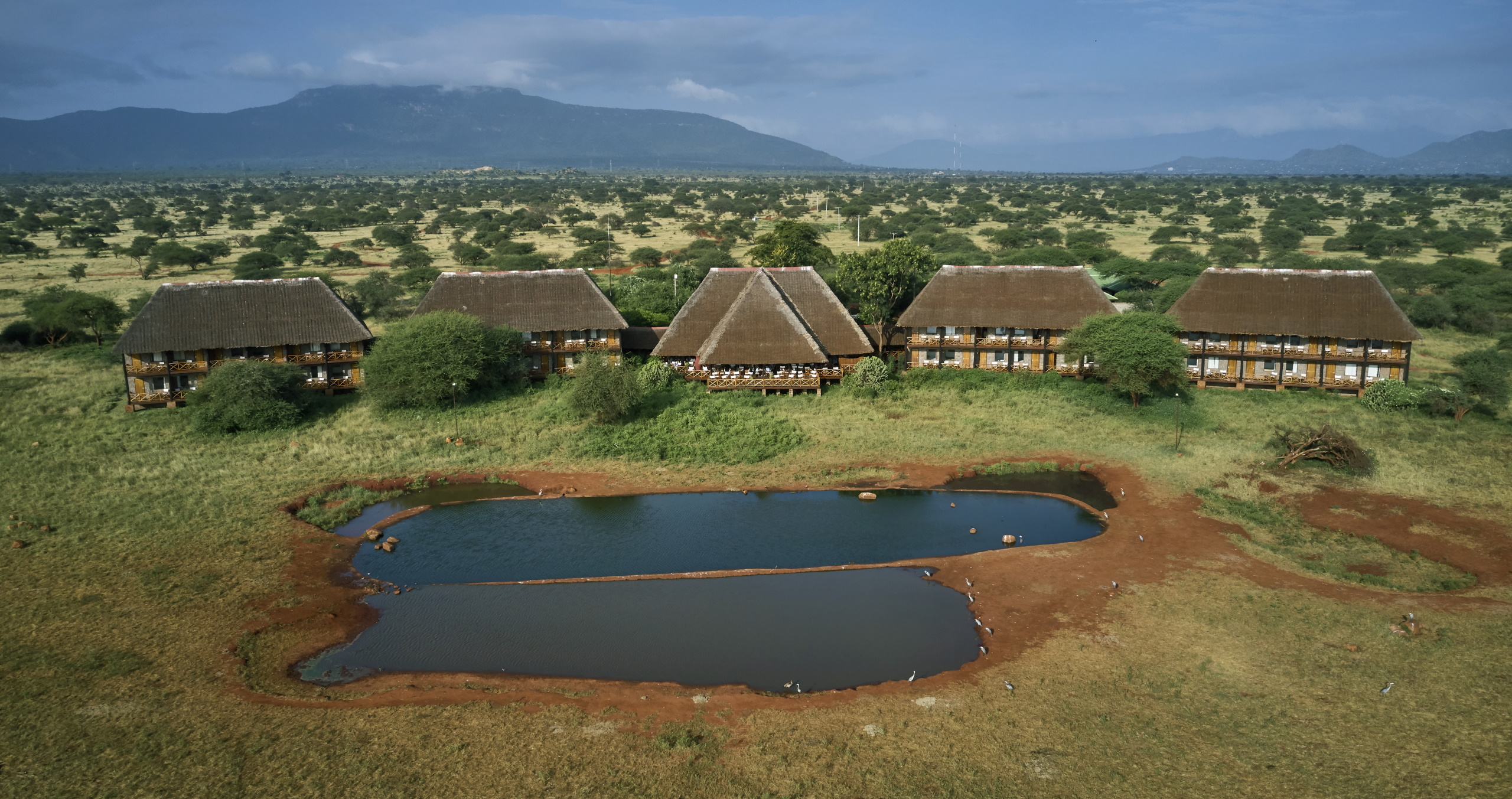 Ngutuni Safari Lodge