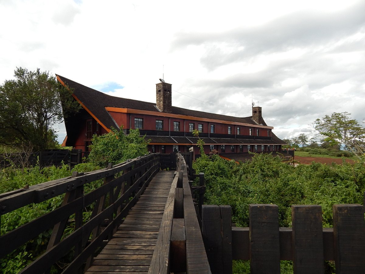 AJM Tours & Safaris - The Ark Lodge,Aberdare