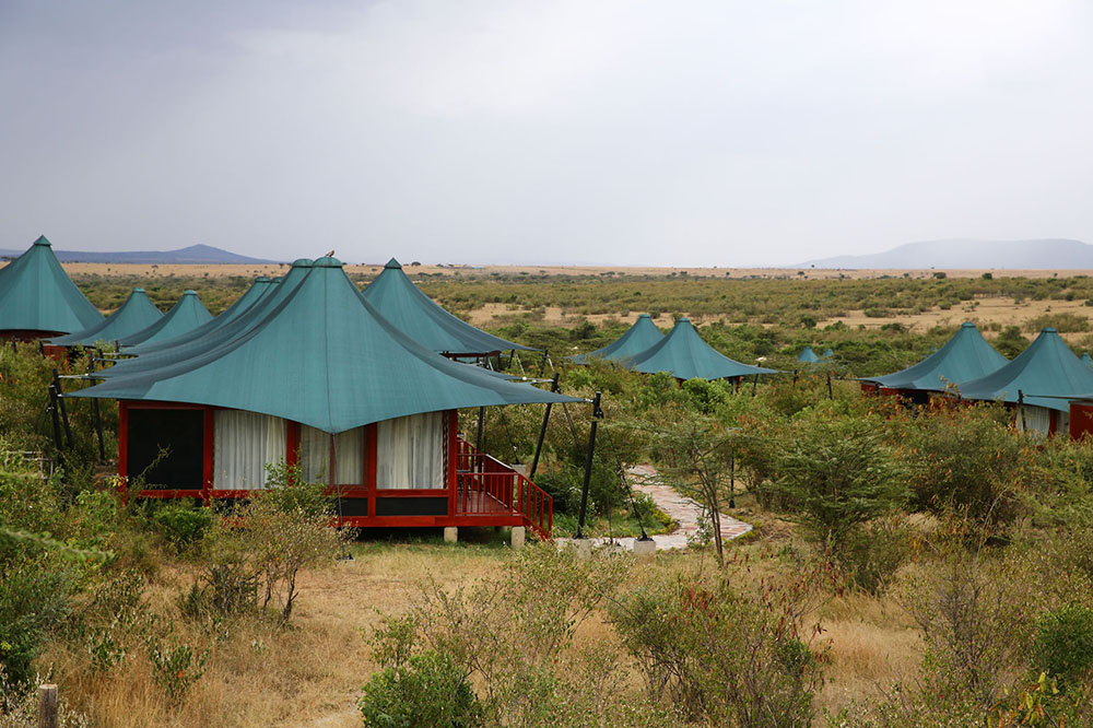 AJM Tours & Safaris - AA Lodge