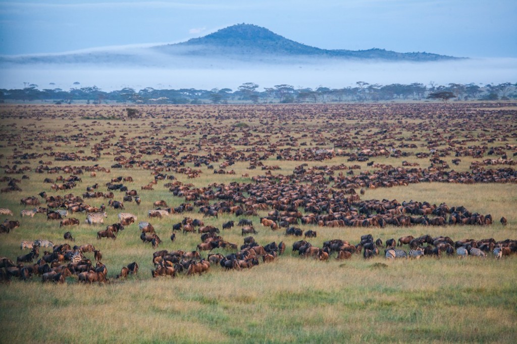 Serengeti National Park