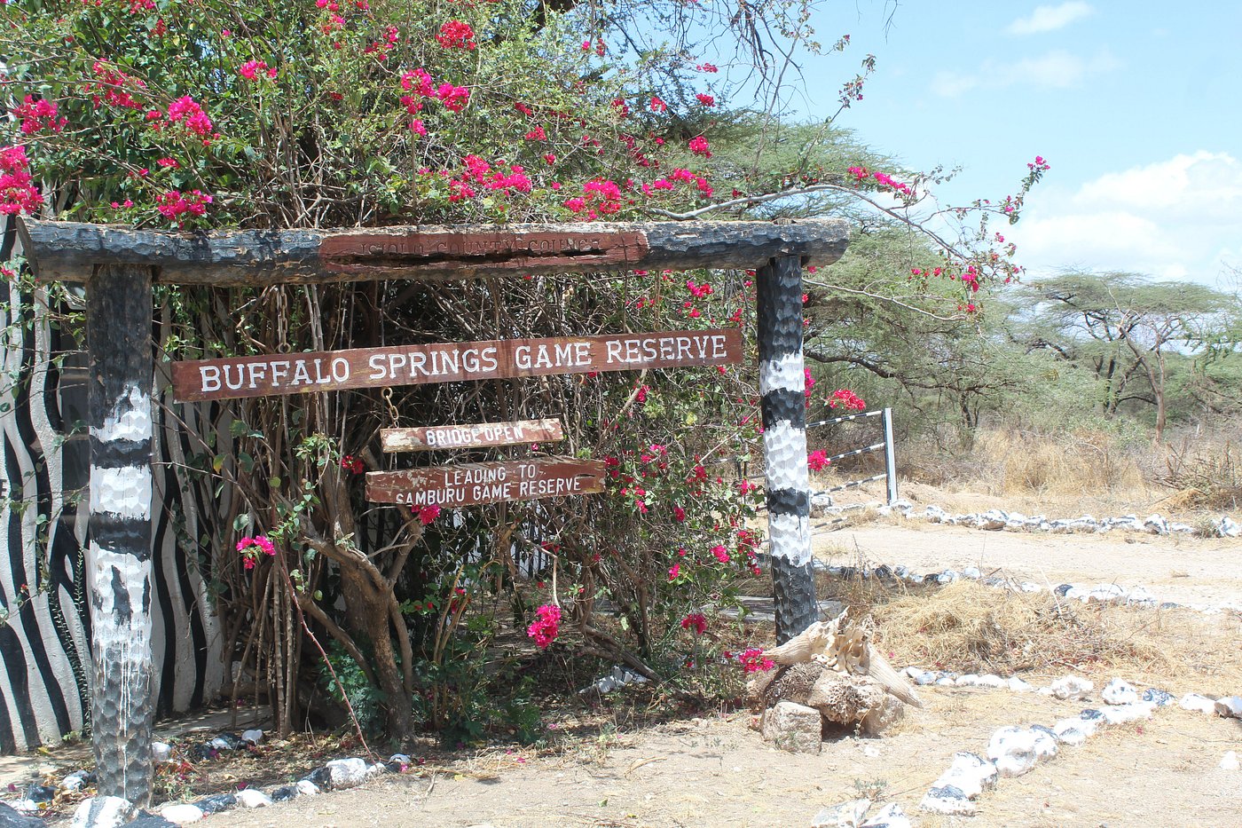 Buffalo springs national Reserve