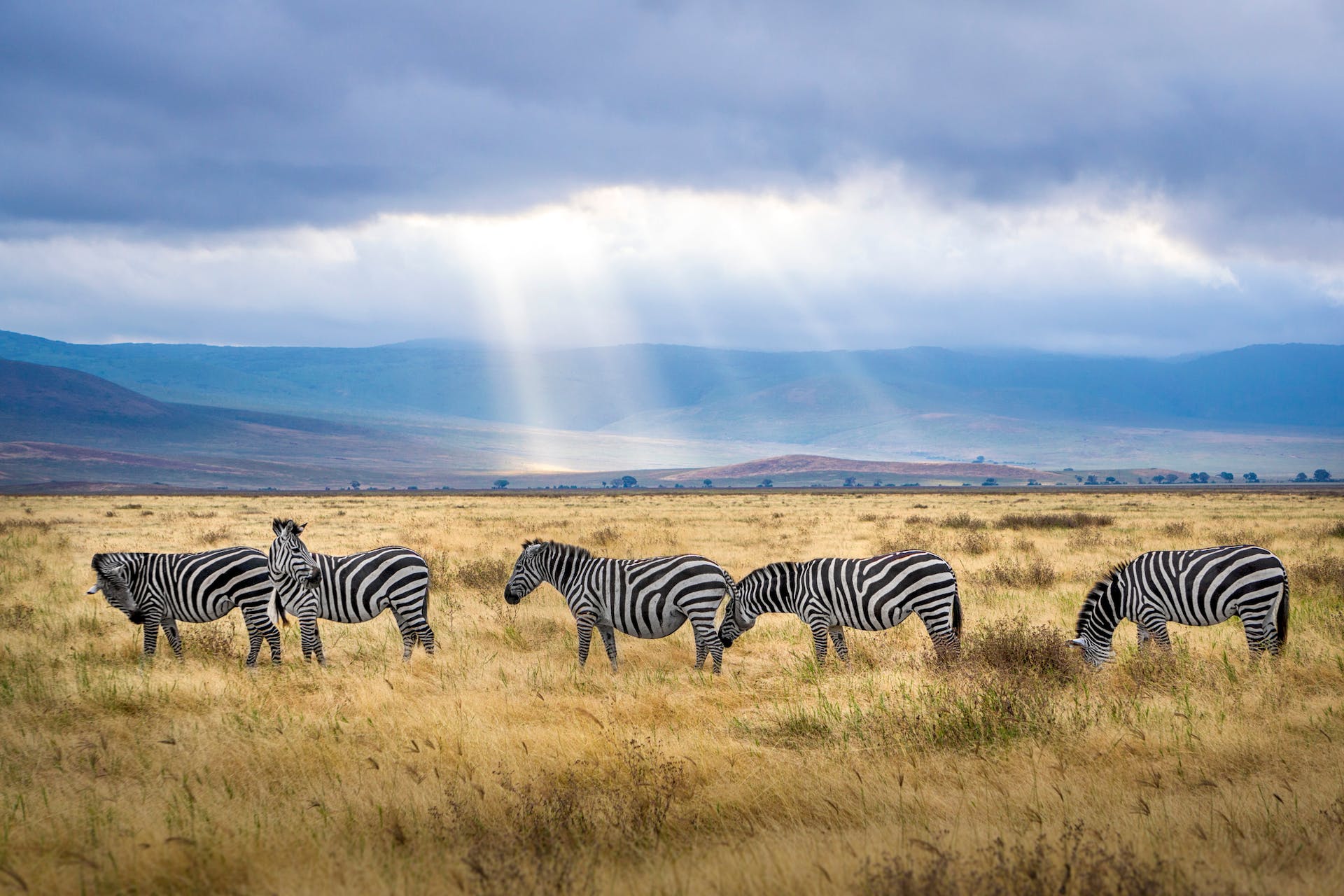 Tsavo East National Park