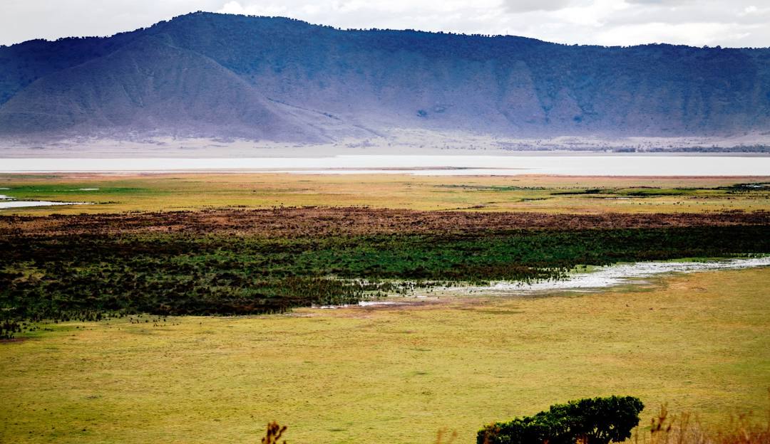 Ngorongoro Creter