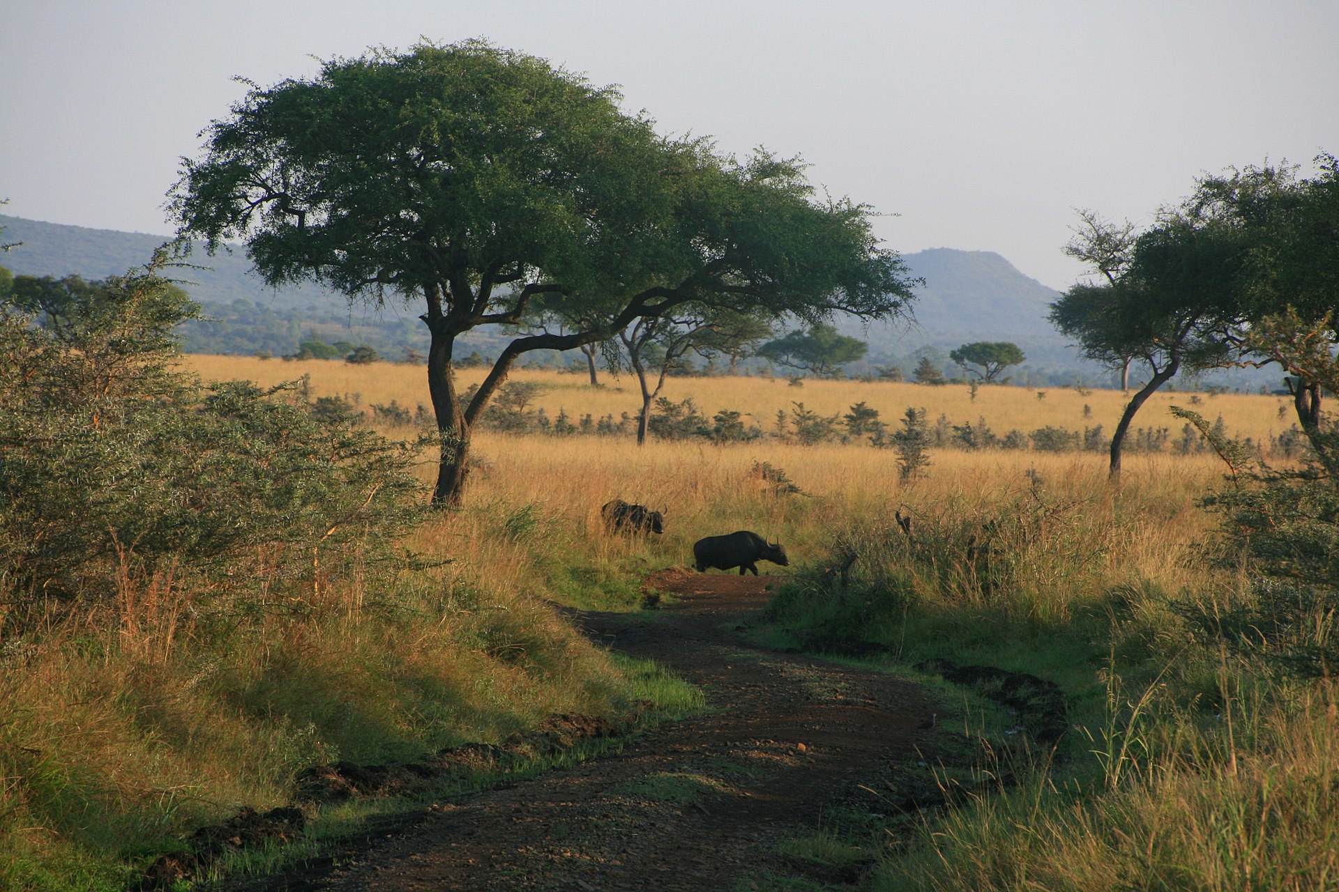 Ruma National Park