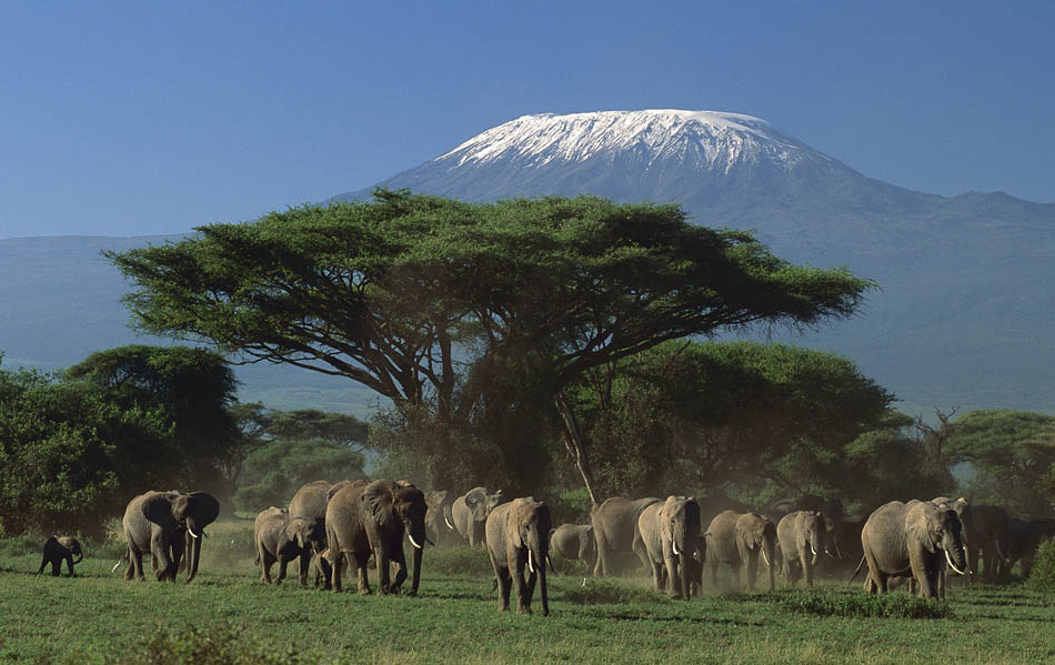 Amboseli National Park