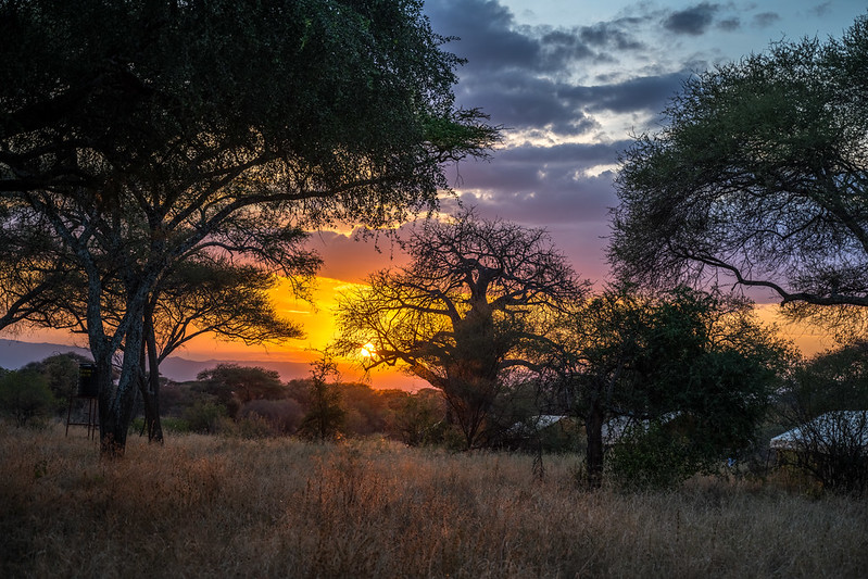 Tarangire National Park