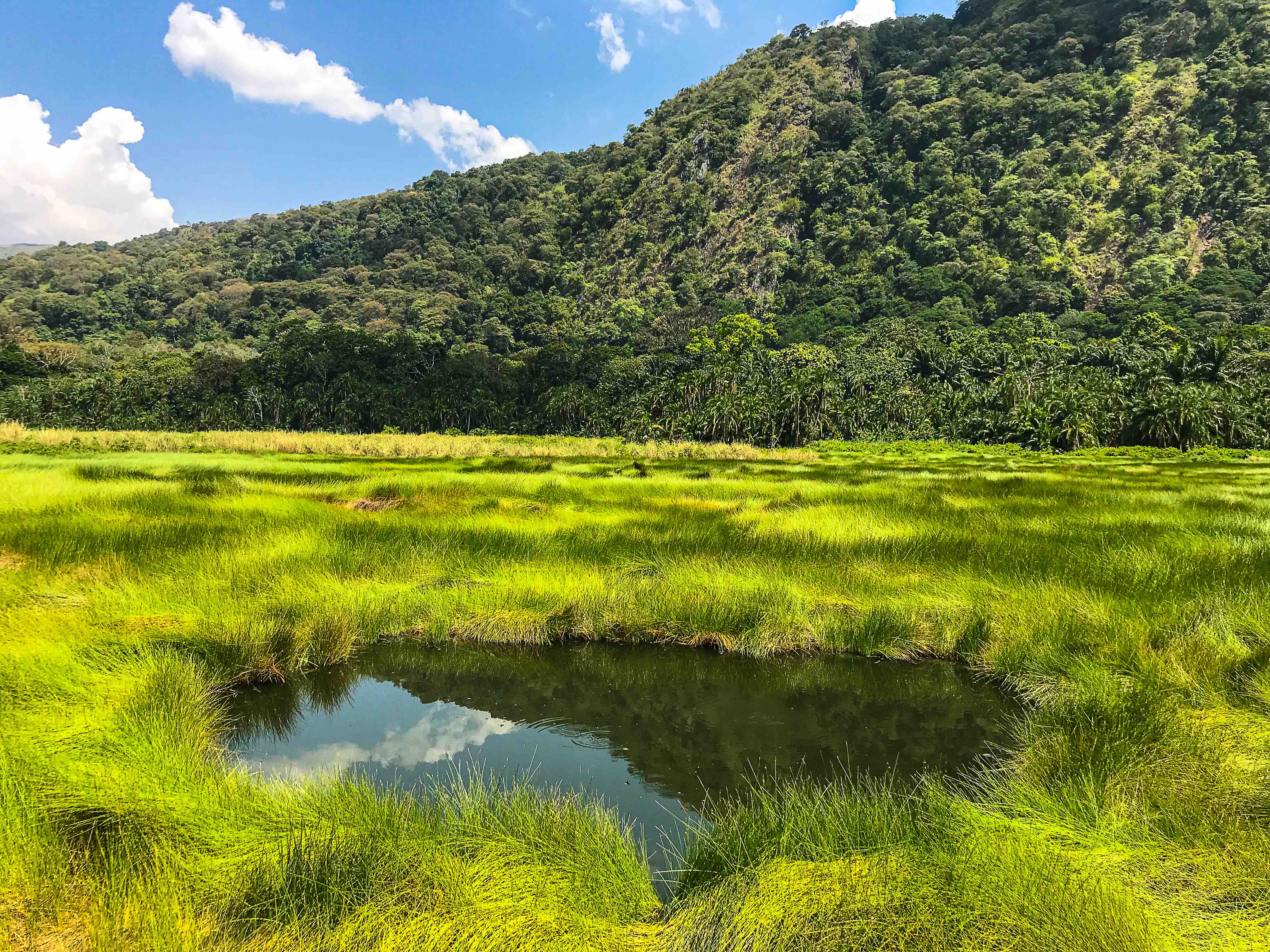 Semuliki National Park