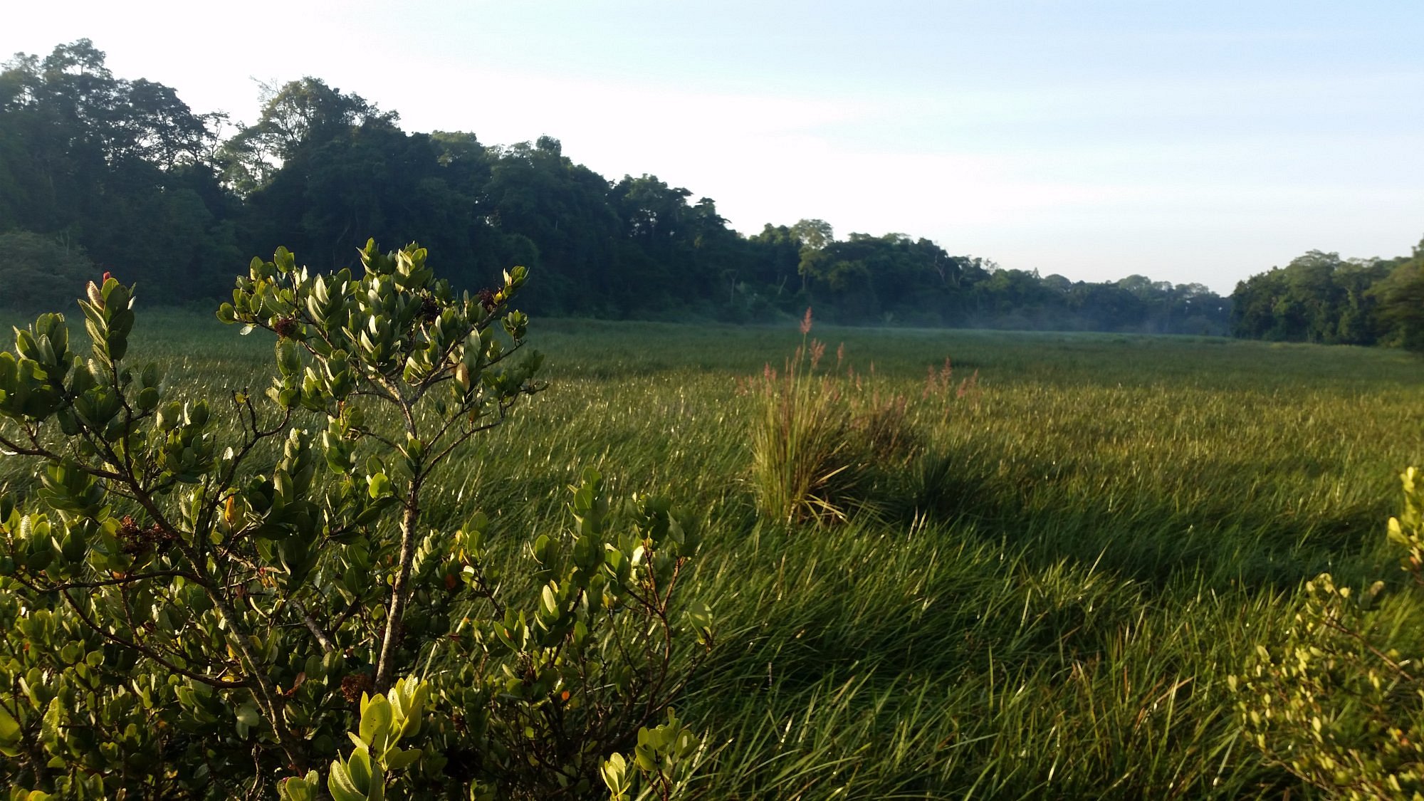 Saiwa Swamp National Park