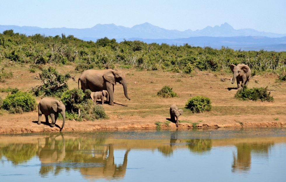 Malka Mari national reserve