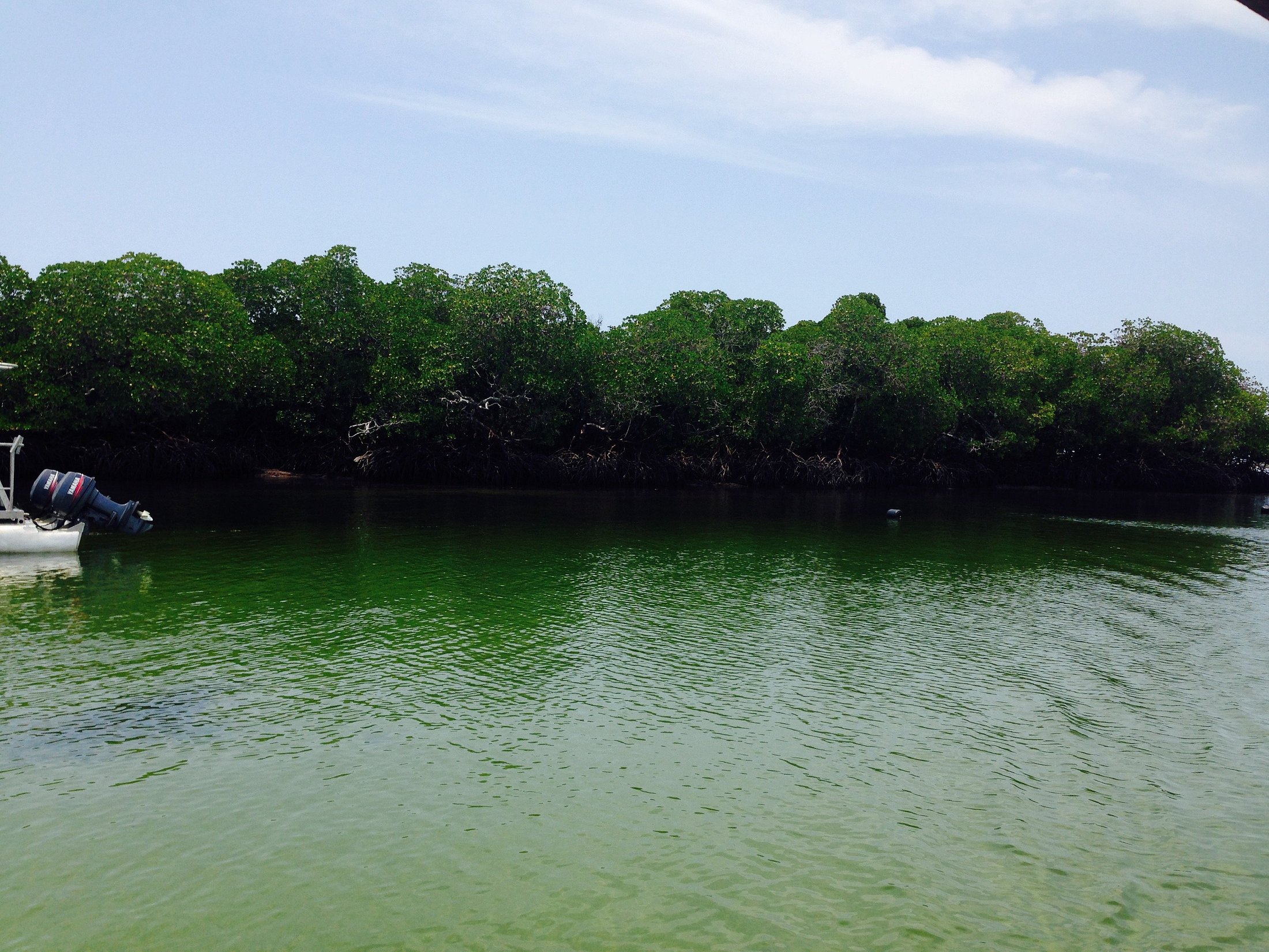 Watamu Marine National Park