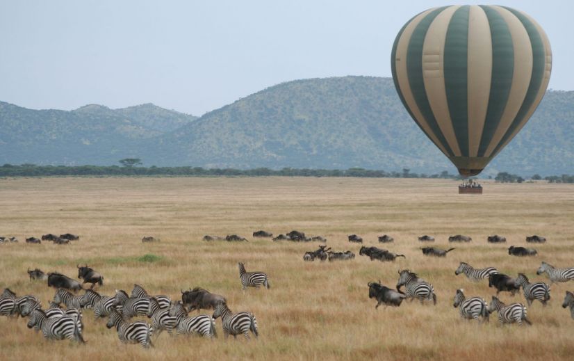 11-Day Classic Kenya Wildlife Safari and Diani Beach