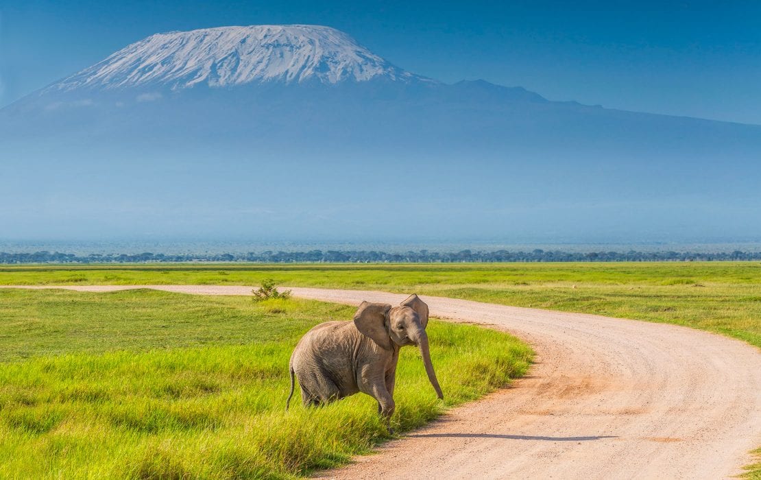 3 Day Amboseli Road Safari from Nairobi, Kenya