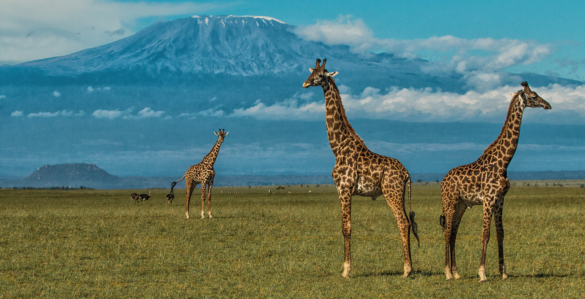 2 Days Amboseli Road Safari from Nairobi, Kenya