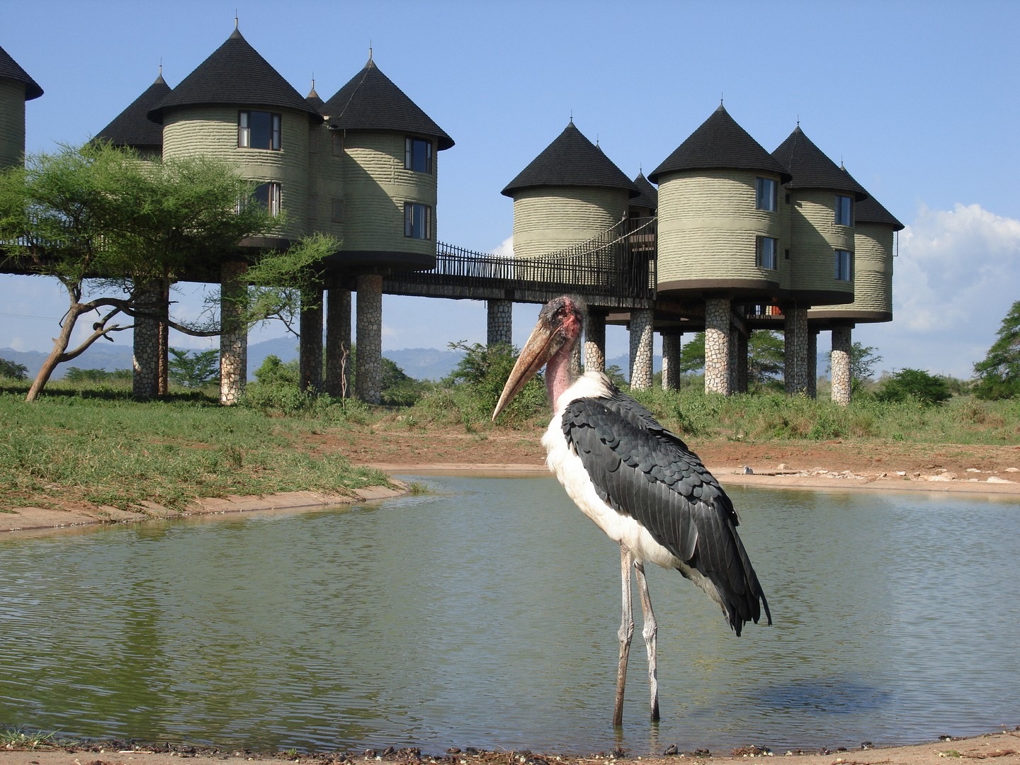 2 Day Safari to Tsavo East and Saltlick from Malindi, Kenya