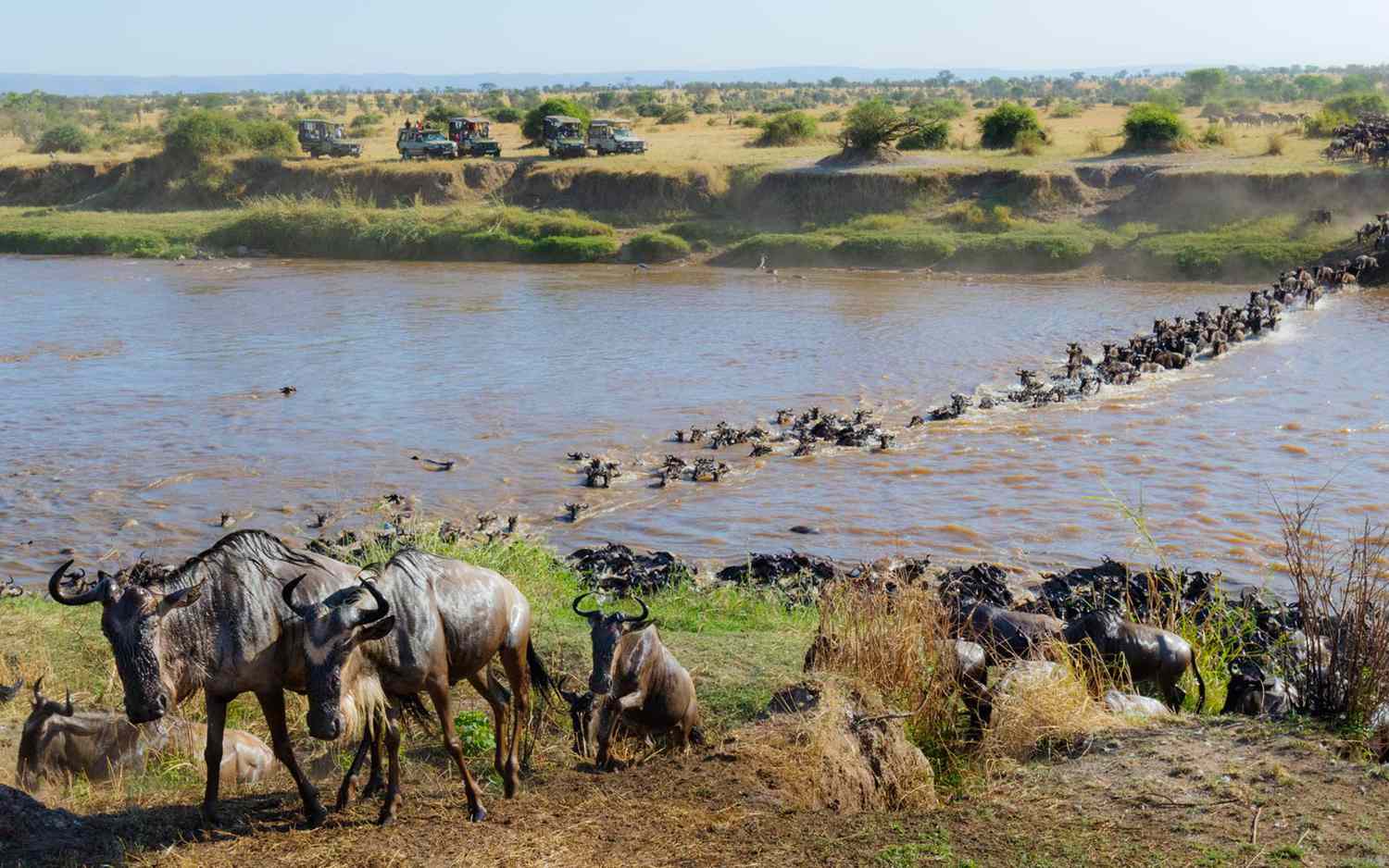 2 Day Masai Mara Road Safari from Nairobi