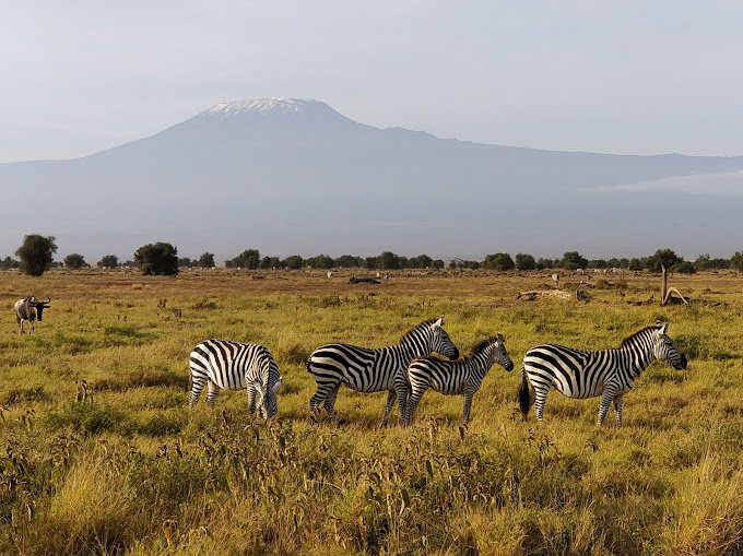 3 day Safari to Tsavo East and Amboseli from Kilifi, Kenya