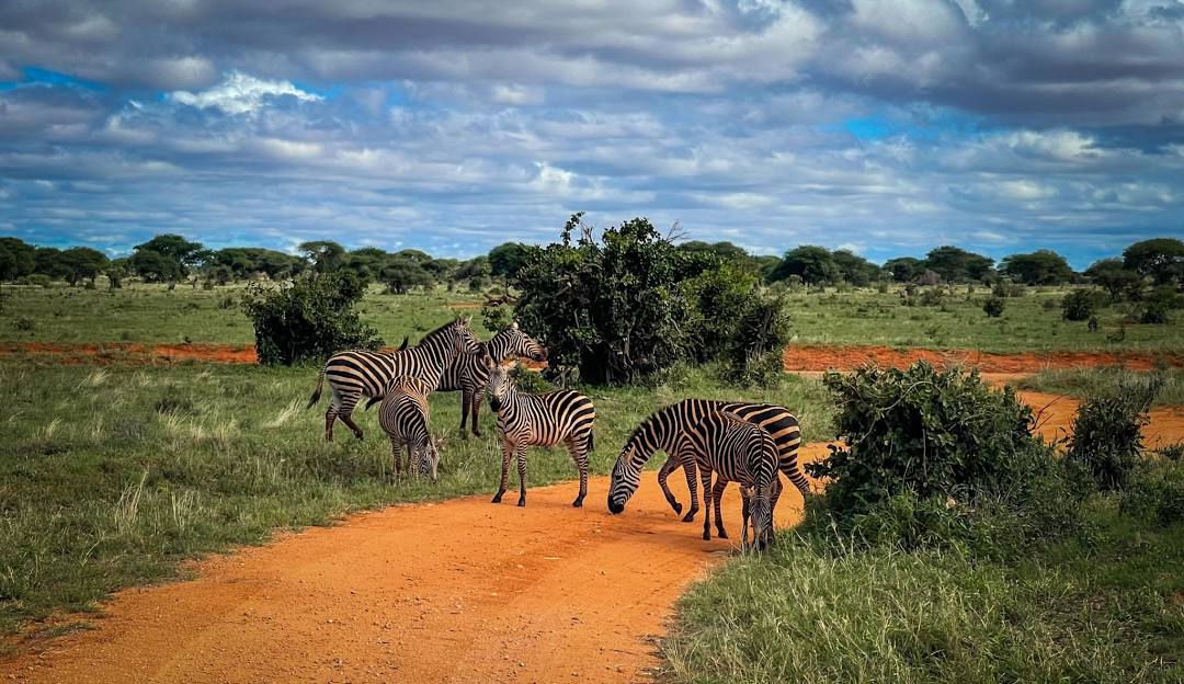 2 Day Safari to Tsavo East National Park from Malindi,Kenya