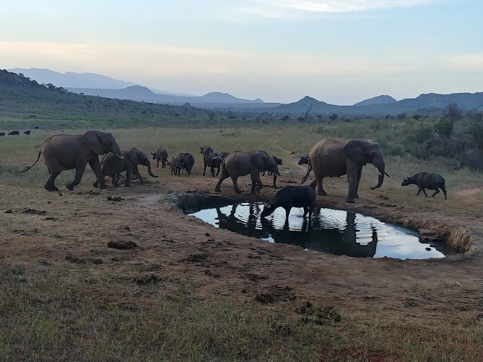 3 Day Safari to Tsavo East and Tsavo West from Watamu / Malindi