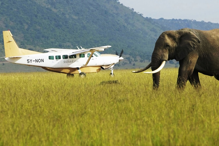 2 Day Masai Mara Air Safari from Nairobi