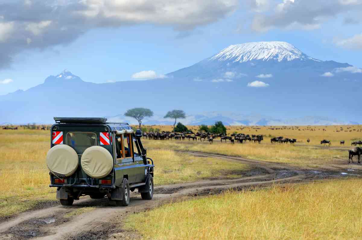 3 Days Amboseli Air Safari from Nairobi,Kenya