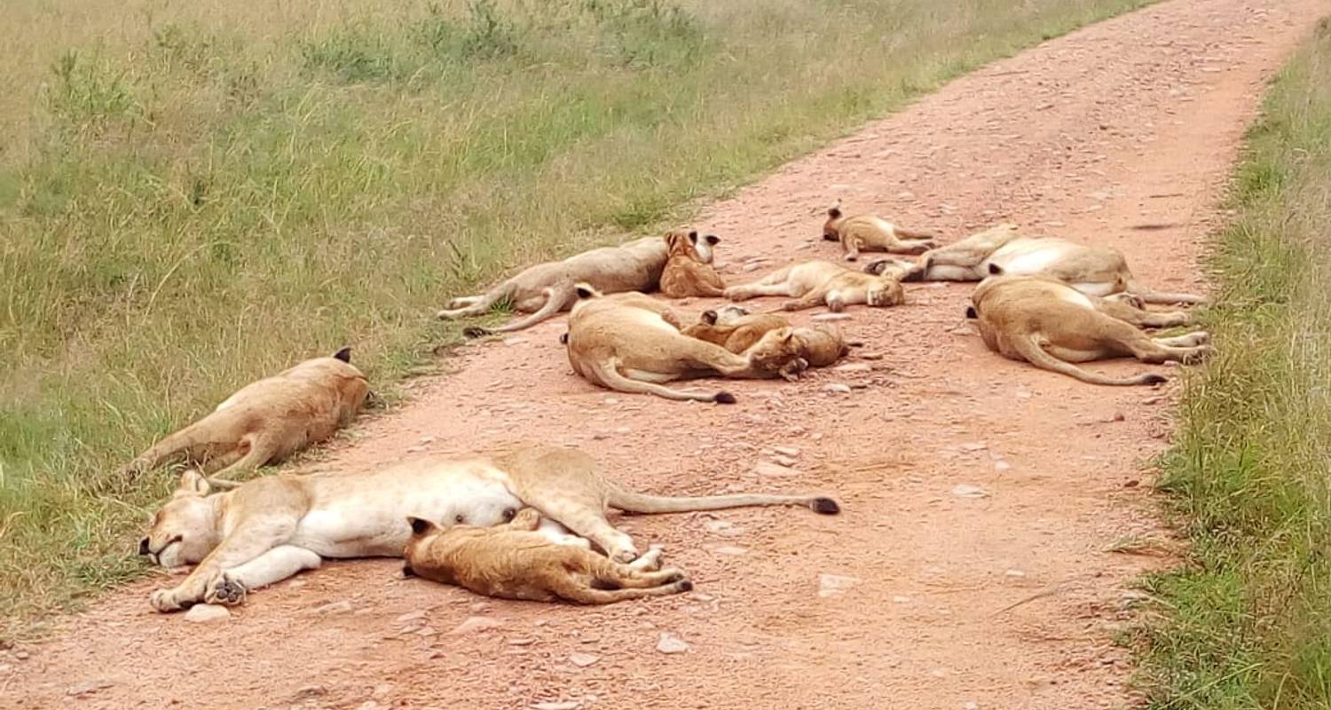 2 Day Safari to Tsavo East- Ngutuni Sanctuary from Diani / Mombasa, Kenya