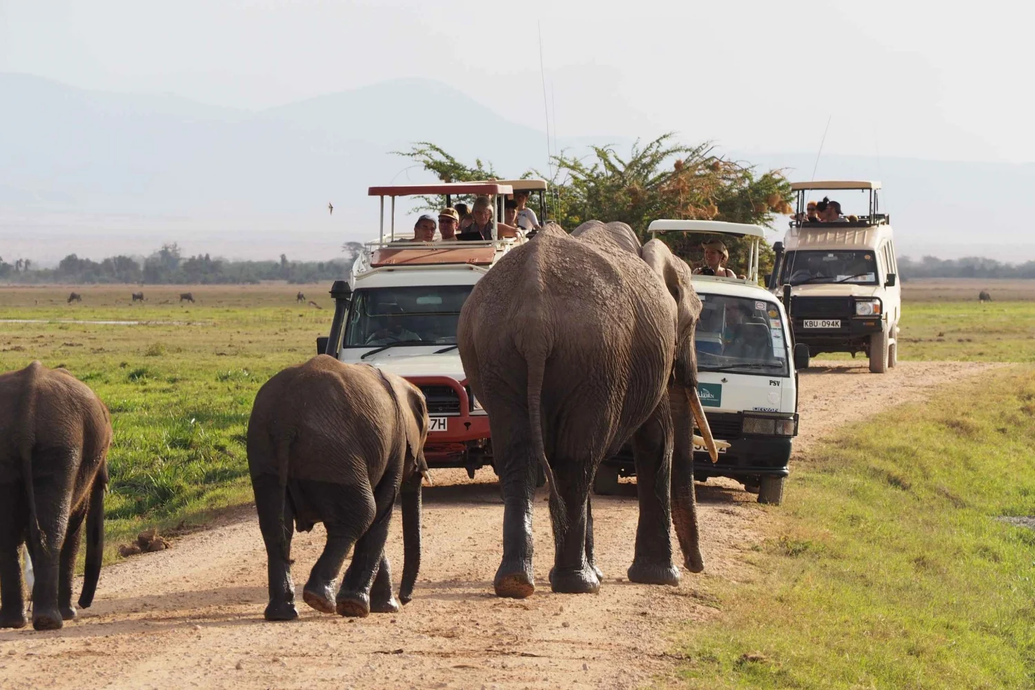 2 Day Safari to Tsavo East and Saltlick from Watamu / Malindi, Kenya