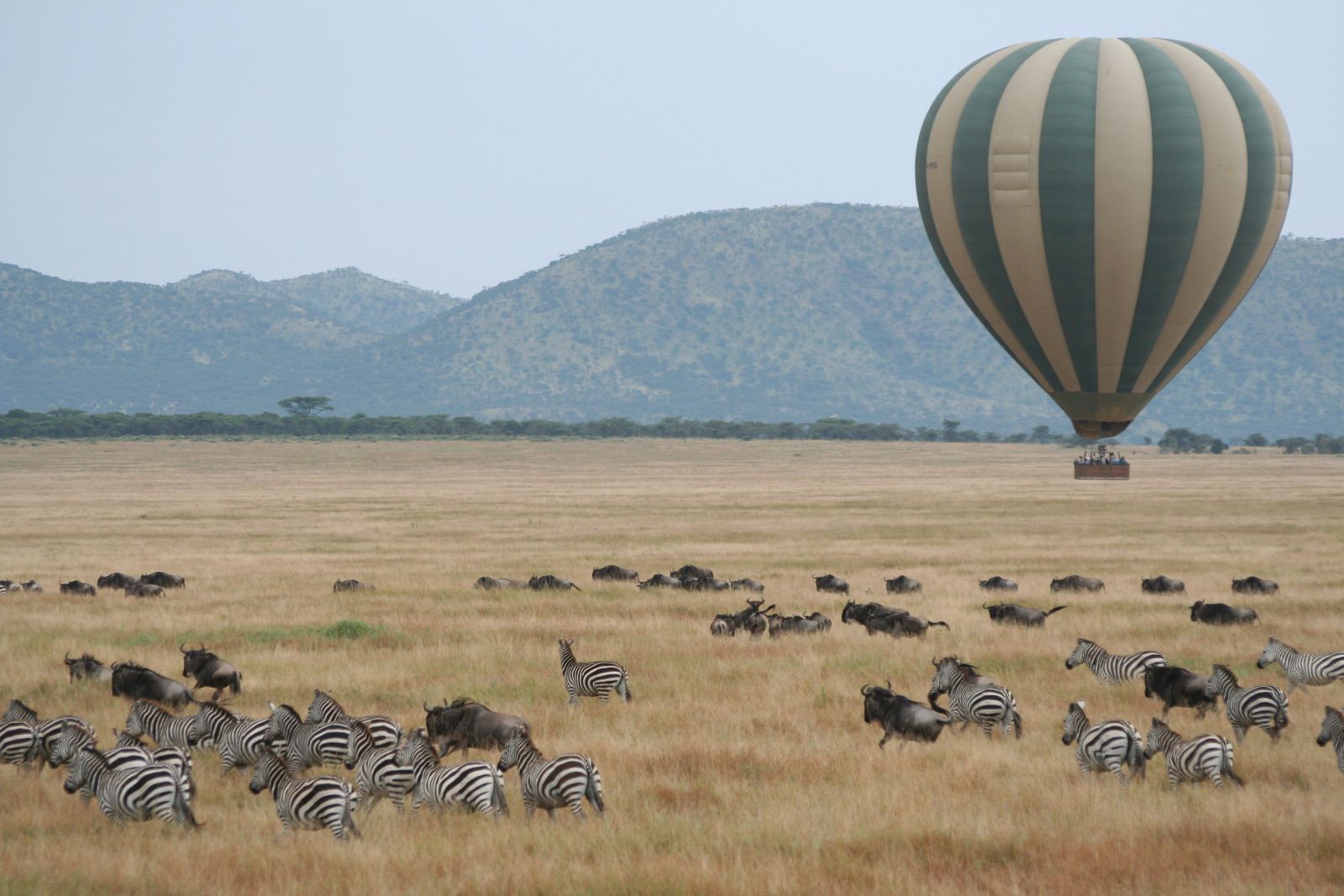 3 Day Maasai Mara Air Safari from Watamu / Malindi