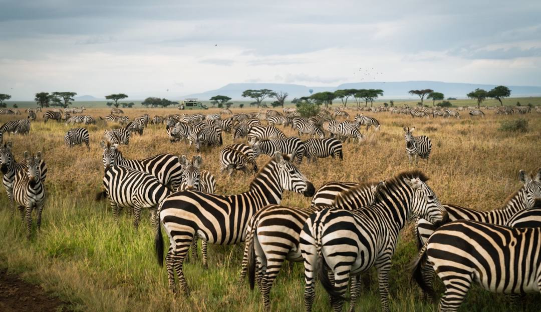 4 Day Safari to Tsavo East, Amboseli and Tsavo West from Malindi, Kenya