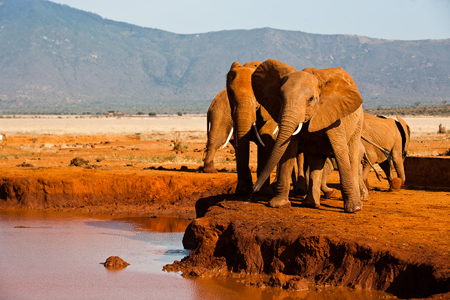 2 Day Safari to Tsavo East and Tsavo West from Diani / Mombasa, Kenya