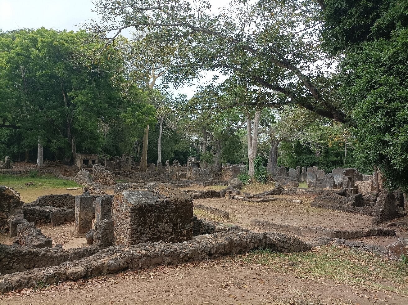 Gedi Ruins Excursions